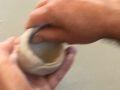 IMG 3051